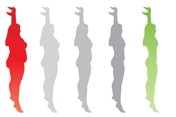 Vector conceptuele vet overgewicht obesitas vrouwelijke vs slim fit en gezond lichaam na verlies van het gewicht of dieet met spieren dunne jonge vrouw geïsoleerd. Fitness-, voedings- of vetheid obesitas, gezondheid silhouet vorm - Vector, afbeelding