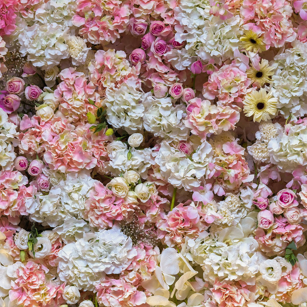 柔らかくエレガントな花を持つ美しい花の背景 ロイヤリティフリー写真 画像素材