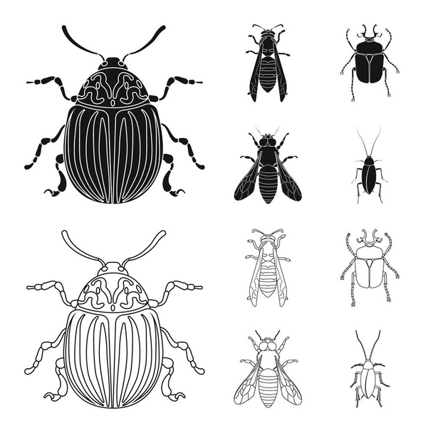 Illustration vectorielle du logo insecte et mouche. Collection d'icônes vectorielles d'insectes et d'éléments pour le stock
. - Vecteur, image