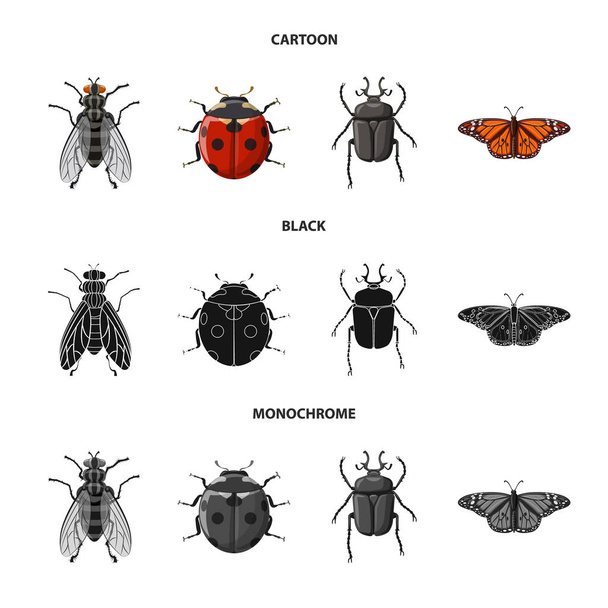 Vektordesign von Insekten- und Fliegenzeichen. Sammlung von Insekten- und Elementlagersymbolen für das Netz. - Vektor, Bild