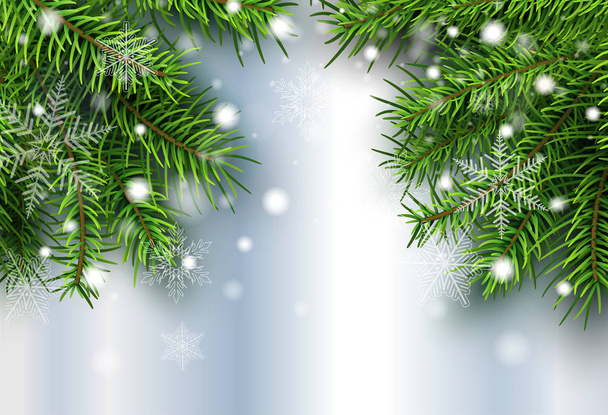 Christmas background, pine tree with snow, winter vector illustration. - Vetor, Imagem