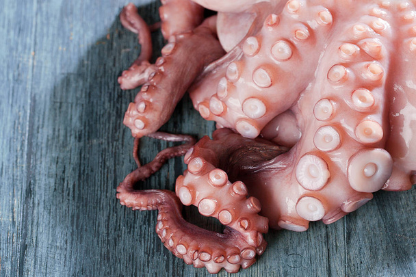 fresh octopus closeup on wooden rustic table - Photo, Image