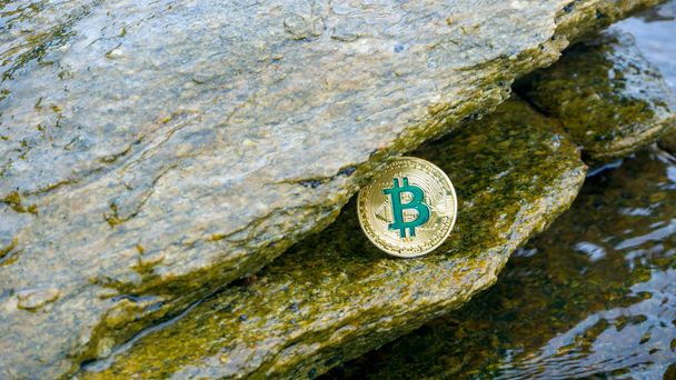 Crypto monety Bitcoin na plaży - Zdjęcie, obraz