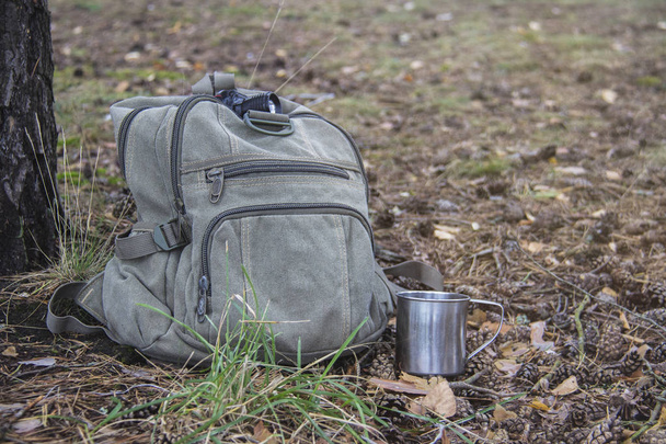 A backpack, a mug, a flashlight  are lying on the grass in the forest. Tourist equipment. Walk in the forest and traveling.  - Foto, afbeelding