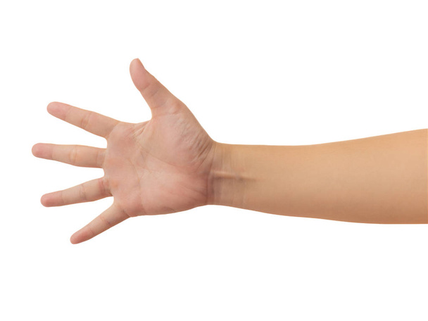 Human hand in reach out one's hand open the palm of the hand and showing 5 fingers gesture isolate on white background with clipping path, High resolution and low contrast for retouch or graphic design - Photo, Image