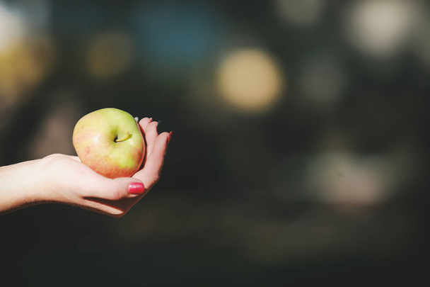 an apple in the hands of a young woman - Photo, Image