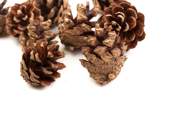 Heap  of pine cones isolated on white. Close u - Zdjęcie, obraz