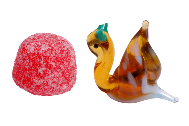 Snail and Candy - Photo, Image