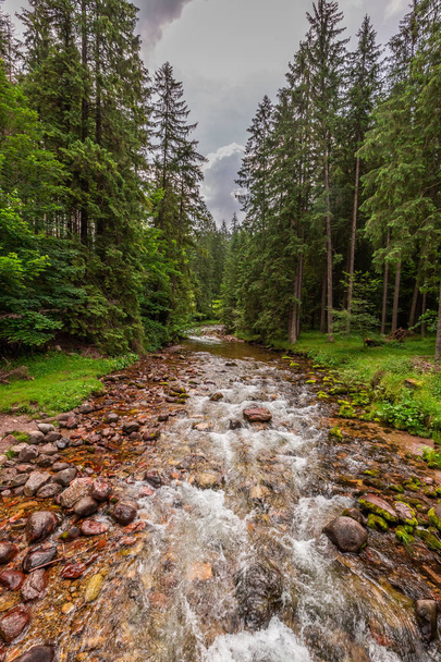 Small stream in Koscieliska valley in Tatra Mountains - Zdjęcie, obraz