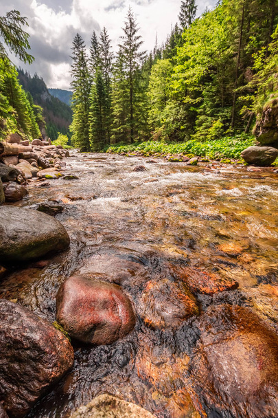 Small stream with stones in Koscieliska valley in Tatra Mountains - Φωτογραφία, εικόνα