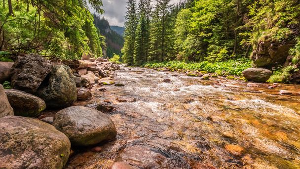 Beautiful small stream with rocks in Koscieliska valley, Tatra Mountains - Zdjęcie, obraz