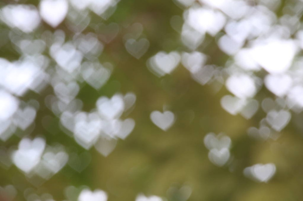 Zöld fa lágy, elmosódott bokeh természet friss háttérvilágítását szív alakú Valentin és erdei gyógynövények háttérkép, természet lágy bokeh alnyomatban - Fotó, kép