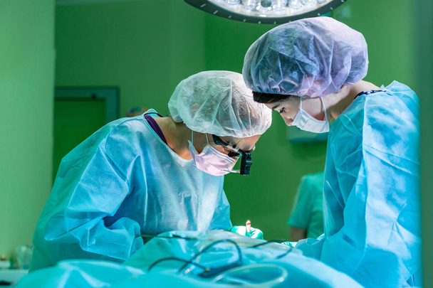 Chirurg i jego asystent, wykonywanie operacji plastycznej na nos w sali operacyjnej szpitala. Nos, przekształcanie, powiększania. Korekcja nosa. - Zdjęcie, obraz