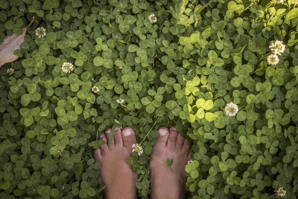 Yeşil çimenlerin üzerinde duran kadın ayakları  - Fotoğraf, Görsel