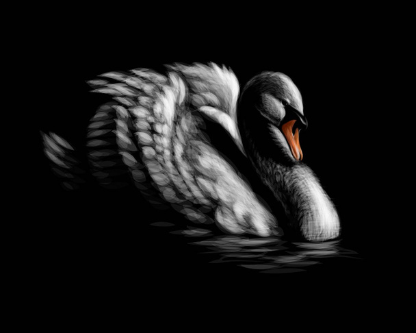 Portrait of a white swan on a black background - Vector, afbeelding