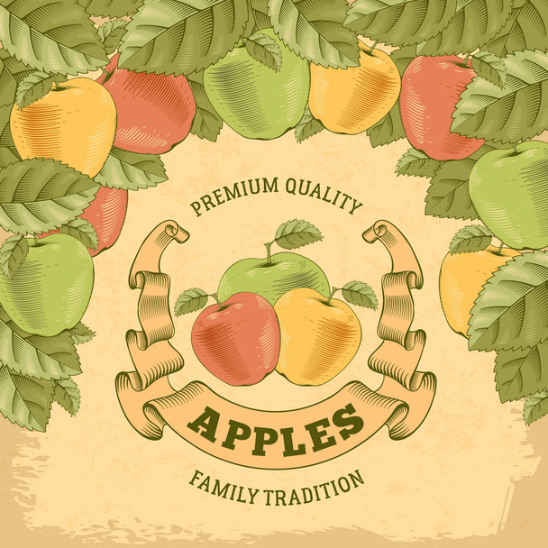 Étiquette colorée vintage avec pommes. Illustration vectorielle modifiable en style rétro dessiné ou gravé à la main
. - Vecteur, image