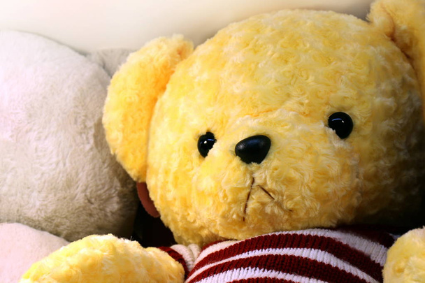 pop schattige teddybeer geel gezicht close-up, kleine beer pop, gezicht teddybeer (selectieve aandacht) - Foto, afbeelding