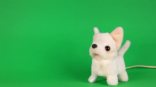 oyuncak köpek havlıyor ve yürüyüş - Video, Çekim