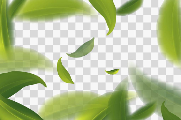 ярко летящие листья зеленого чая, прозрачный фон Векторная иллюстрация
 - Вектор,изображение
