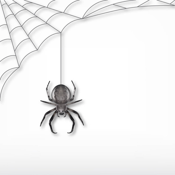 Black spider and web - Vector, Image