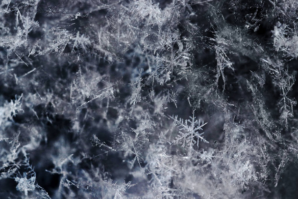Primer plano de los copos de nieve en invierno. Los copos de nieve parecen estrellas.
 - Foto, imagen