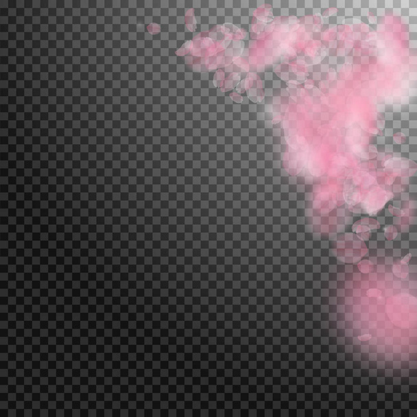 Лепестки Сакуры падают. Романтический розовый уголок. Летающие лепестки на прозрачном квадратном бэкгре
 - Вектор,изображение