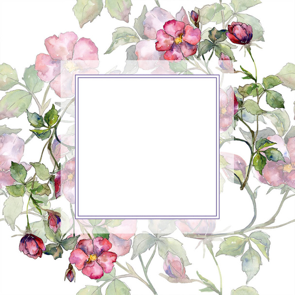 Watercolor magenta bouquet of wild roses flowers. Floral botanical flower. Frame border ornament square. Aquarelle wildflower for background, texture, wrapper pattern, frame or border. - Photo, Image
