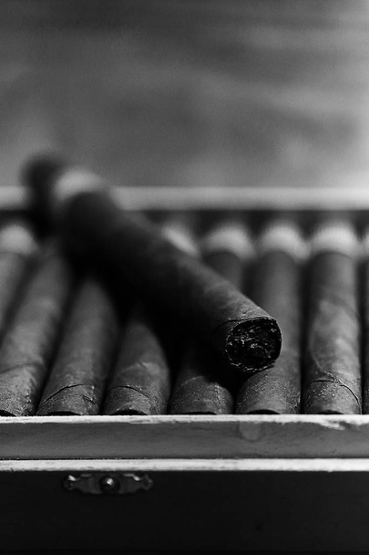 монохромное фото большой деревянной коробки сигар кубинского производства ручной работы
 - Фото, изображение