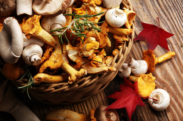 wiele surowych grzybów na drewnianym stole. Pieprznik jadalny, ostryg i innych świeżych grzybów - Zdjęcie, obraz