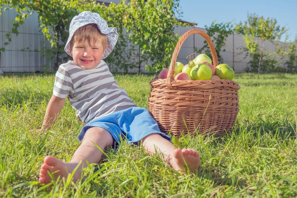 Ekologiczne jabłka. Owoce w koszyku. Chłopiec z jabłkami. Dziecko posiadające zabawy na zewnątrz. - Zdjęcie, obraz
