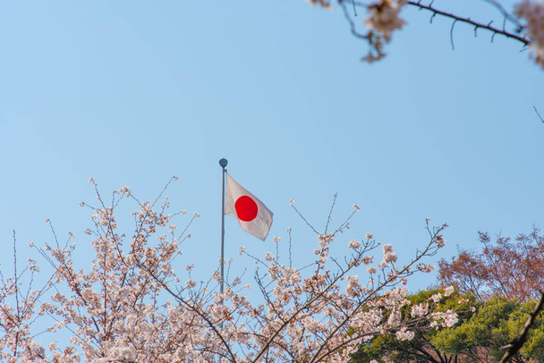 Bandera de Japón con flores de cerezo, Tokio, Japón
. - Foto, Imagen