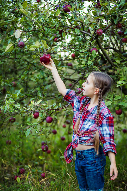Beautiful girl with an organic apple in the garden. The concept of harvest. - Photo, Image