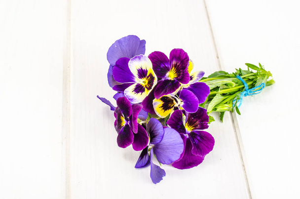 Kleine boeket van Viola tricolor - Foto, afbeelding