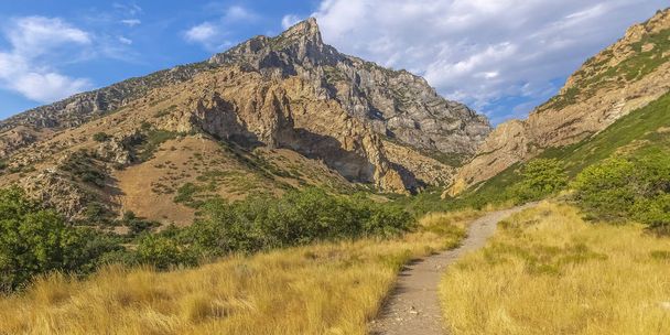 Hiking trail in the wilderness of Provo Utah - Photo, image