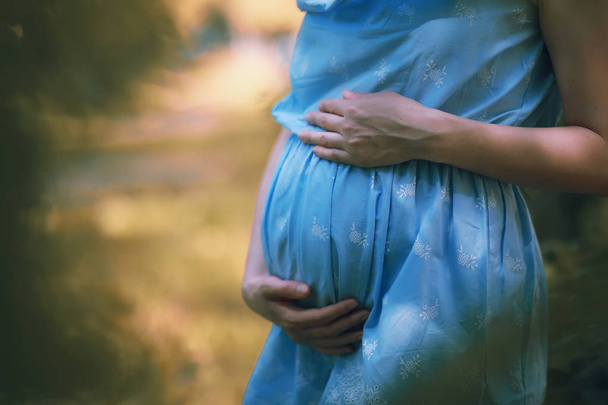 Pregnant girl in a dress in nature - Zdjęcie, obraz