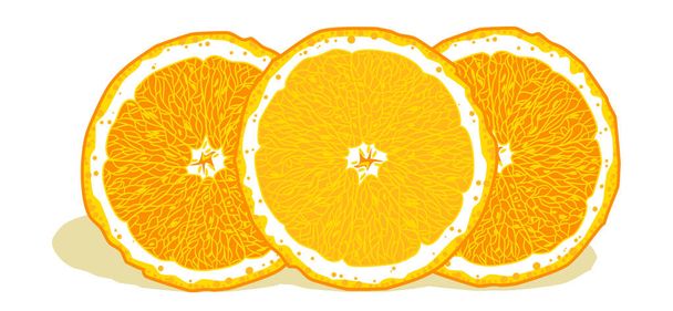 Яскраві, соковиті апельсини в розрізі
 - Вектор, зображення