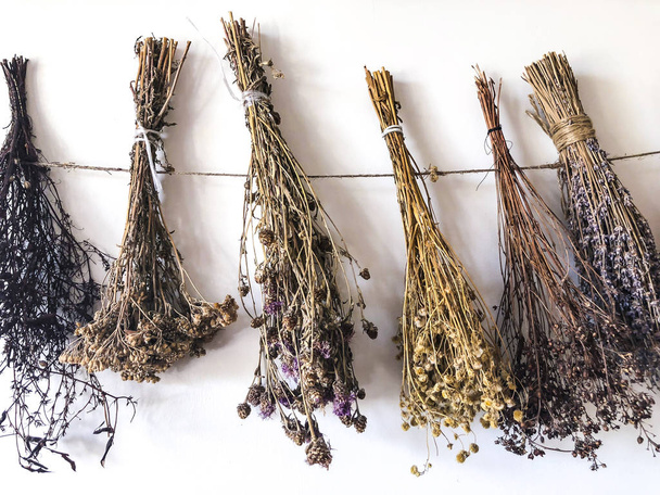 Dried herbs bound in bundles and hung on the rope. Use in alternative medicine, phytotherapy, spa, herbal cosmetics. Preparing infusions, decoctions, tinctures - Photo, Image