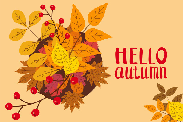 Hola otoño, fondo con hojas que caen, amarillo, naranja, marrón, caída, letras, plantilla para cartel, bandera, vector, aislado
 - Vector, Imagen