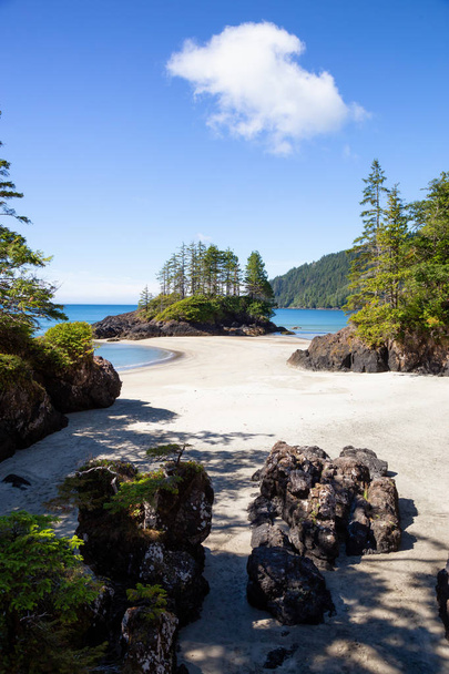 Beautiful panoramic view of sandy beach on Pacific Ocean Coast. Taken in San Josef Bay, Cape Scott Provincial Park, Northern Vancouver Island, BC, Canada. - Foto, imagen