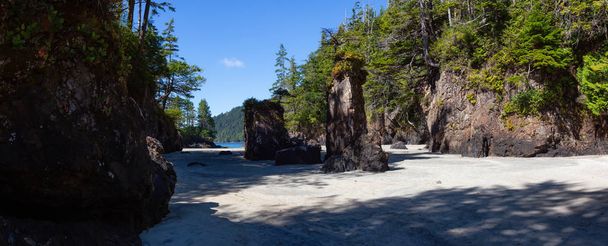 Belle vue panoramique sur le paysage marin de la plage rocheuse sur la côte de l'océan Pacifique. Porté dans la baie de San Josef, parc provincial Cape Scott, nord de l'île de Vancouver, C.-B., Canada
. - Photo, image