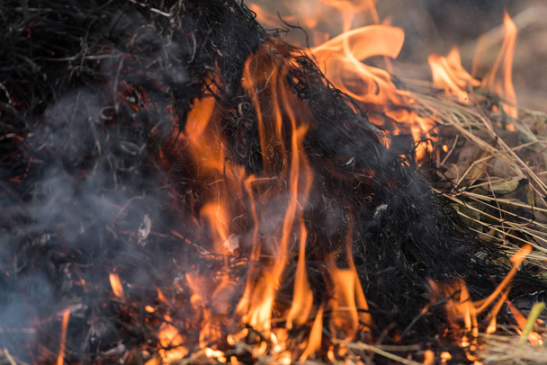火災や燃焼乾燥草と炎を作るそれの農業と環境のための危険を吸うし、大火が発生 - 写真・画像