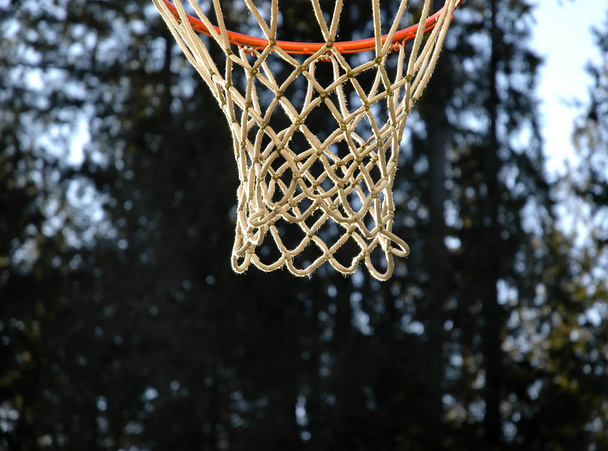 aro de baloncesto - Foto, imagen