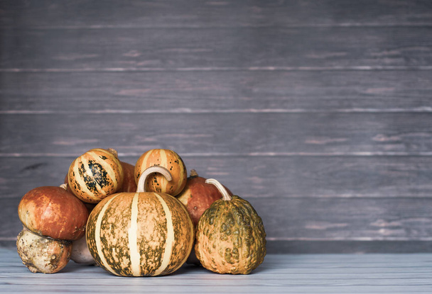 Big and mini pumpkins stacked to left on wooden background, copy space. Photo toned style Instagram filters.  - 写真・画像