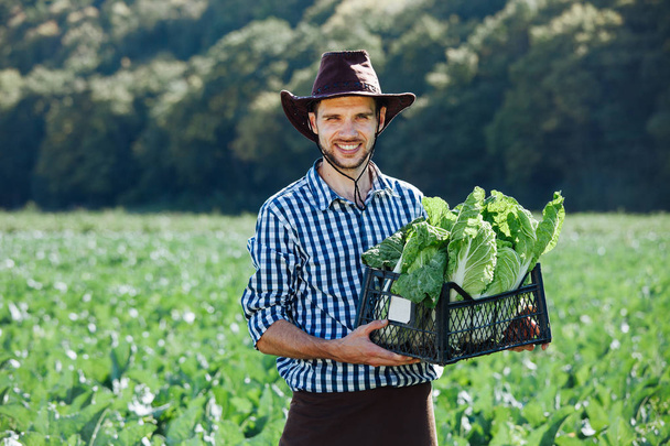 Um jovem em um chapéu segurando caixa com colheita madura de repolho. Colheita do agricultor feliz em seu campo
. - Foto, Imagem