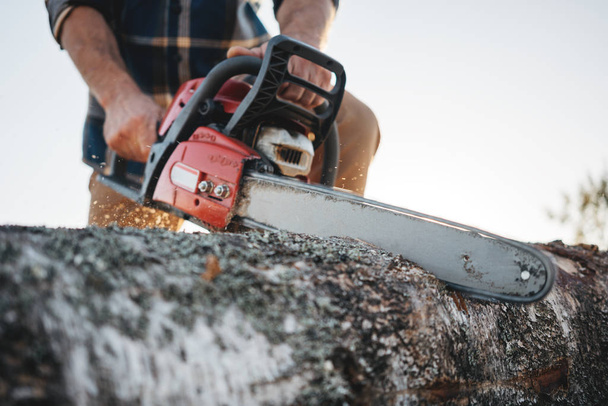 Close up view on bearded strong lumberjack wearing plaid shirt sawing tree with chainsaw for work on sawmill - Foto, Imagem