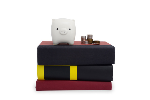 piggy bank on a stack of books - Photo, Image