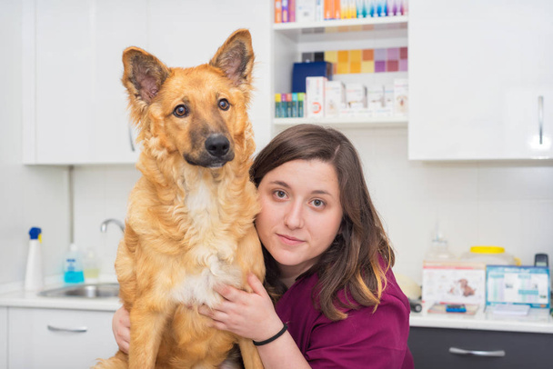 Doctor at the veterinary clinic hugging a beautiful dog - 写真・画像