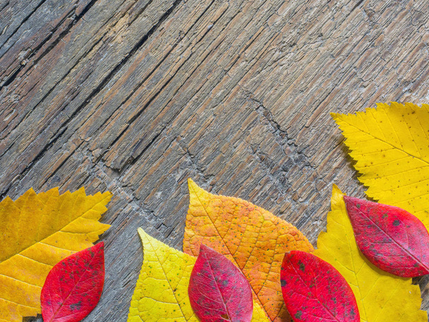 Yellow and red autumn leaves on wooden background. Autumn background. Top view. Flat lay - Foto, afbeelding