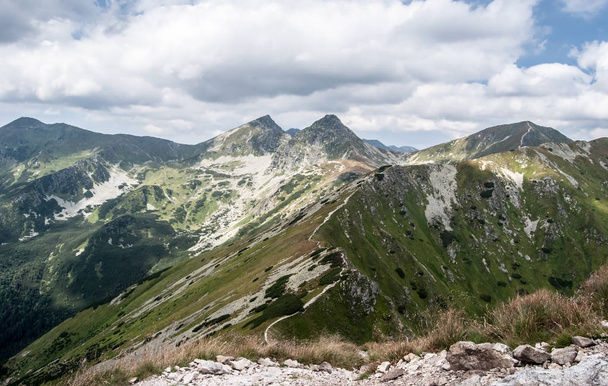 Volovec, Ostry Rohac, Placlive et Smrek sommets dans les montagnes de Zapadne Tatry en Slovaquie lors d'une belle journée d'été avec ciel bleu et nuages
 - Photo, image