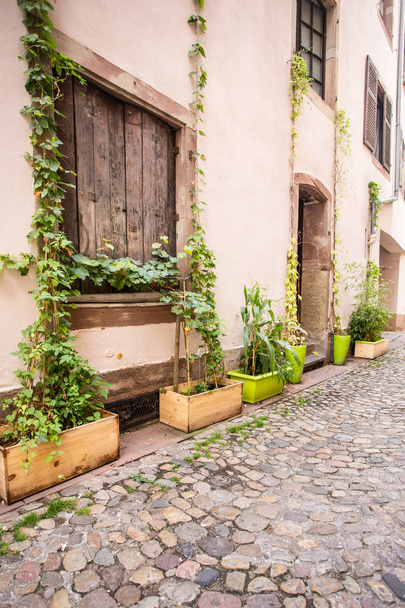 European street scene with old building, ivy and cobblestone street. - Photo, Image